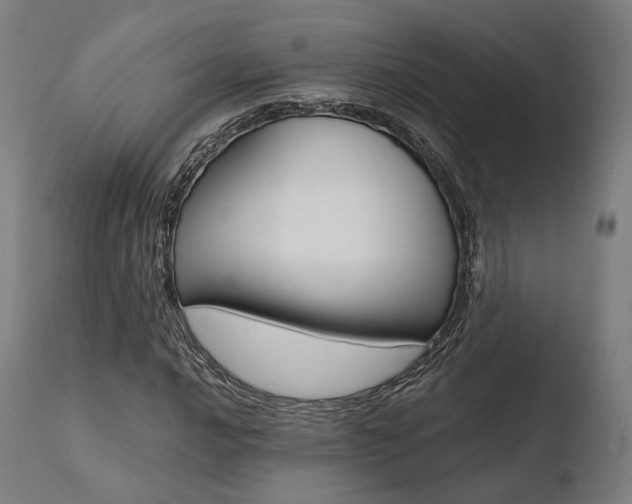 X0000110731016200906121306