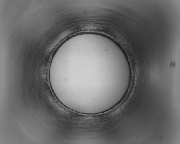 X0000110731017200906121306