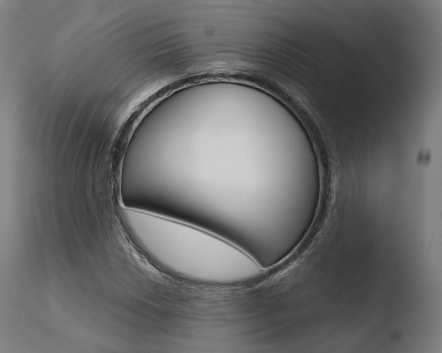X0000110731018200906121306