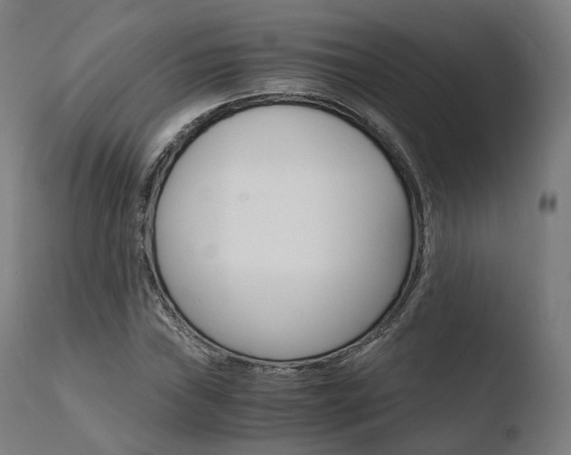 X0000110731019200906121306