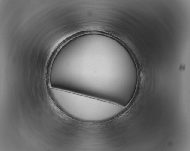 X0000110731020200906121306