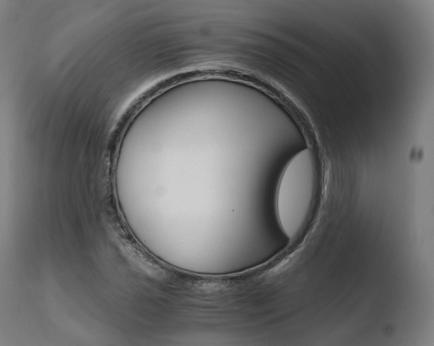X0000110731021200906121306