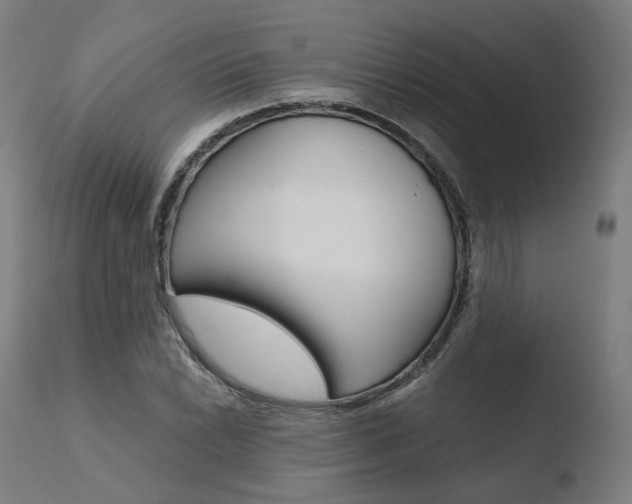X0000110731022200906121306
