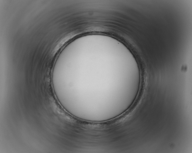 X0000110731025200906121306