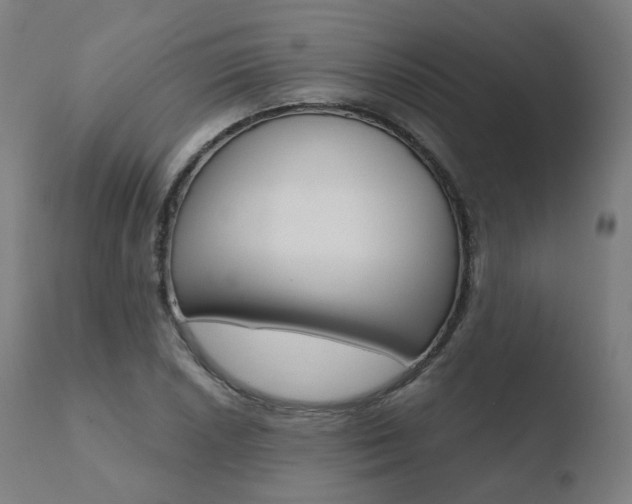 X0000110731026200906121306
