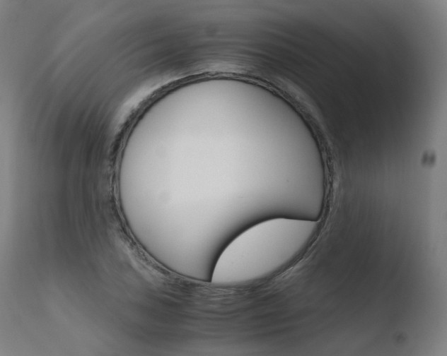 X0000110731027200906121306