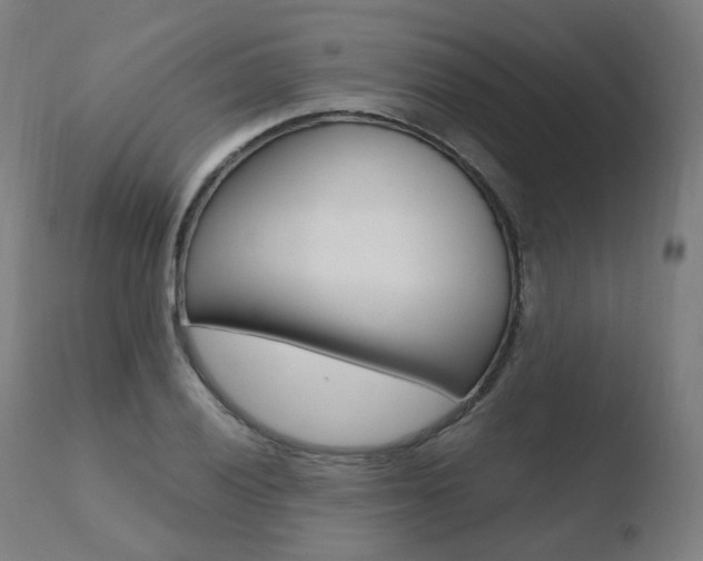 X0000110731028200906121306