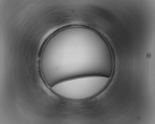 X0000110731029200906121306
