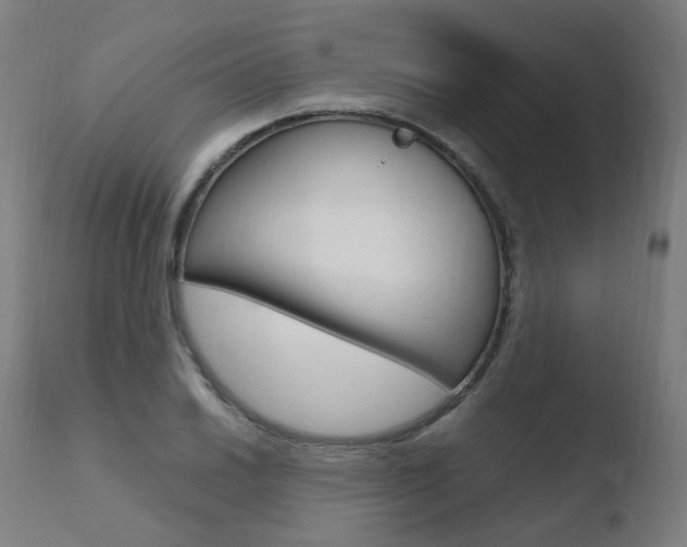 X0000110731030200906121306