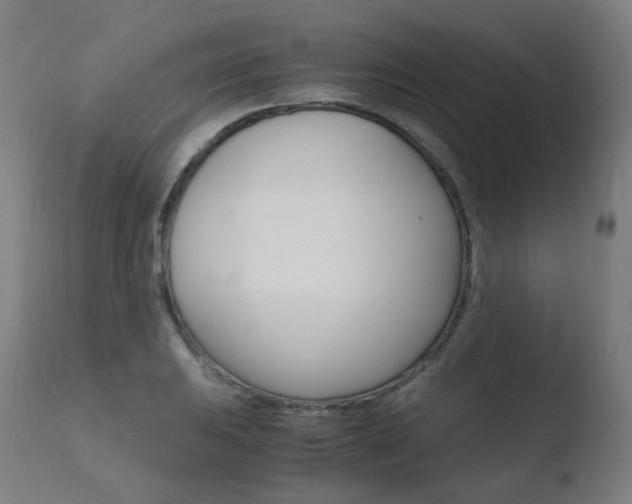X0000110731031200906121306
