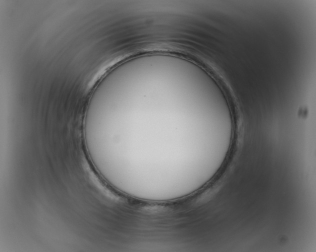 X0000110731033200906121306