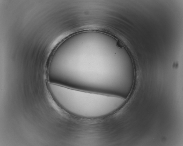 X0000110731034200906121306