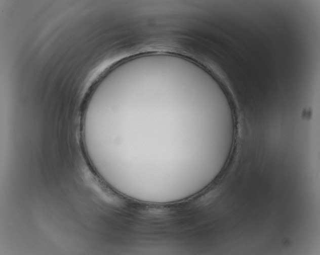 X0000110731035200906121306