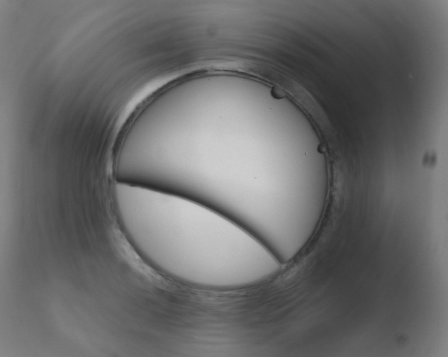 X0000110731036200906121306