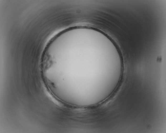 X0000110731037200906121306