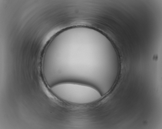 X0000110731038200906121306