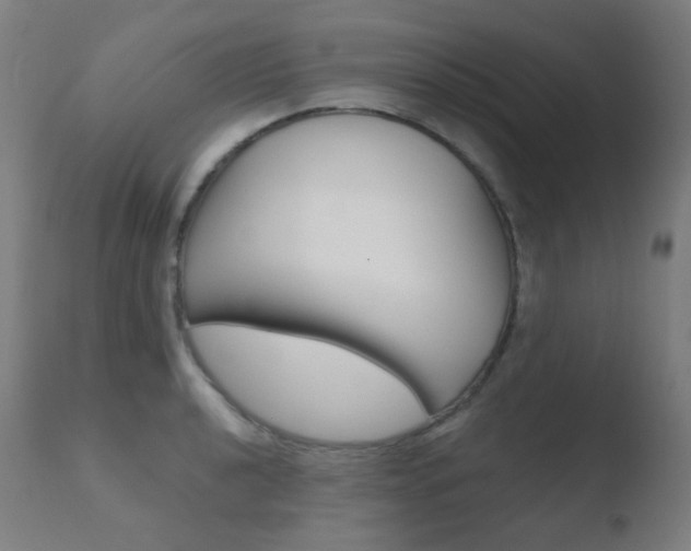 X0000110731040200906121306