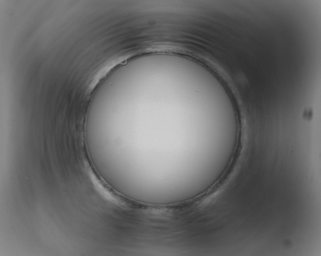X0000110731041200906121306