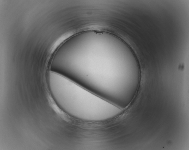 X0000110731042200906121306