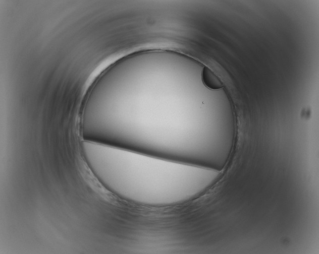 X0000110731044200906121306