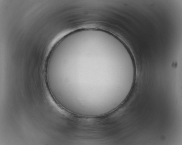 X0000110731045200906121306