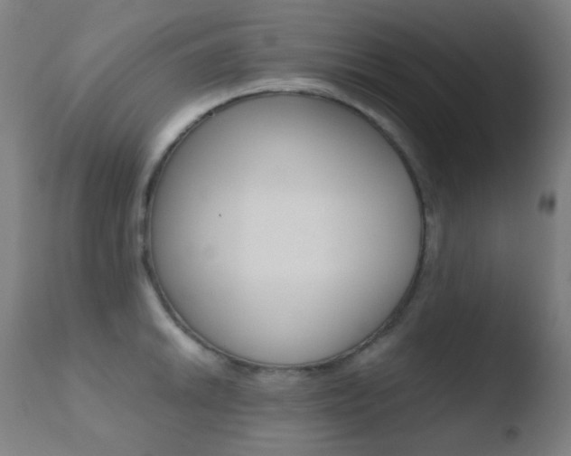 X0000110731046200906121306