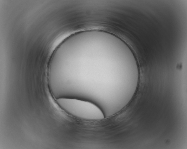 X0000110731047200906121306