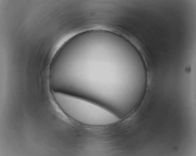 X0000110731048200906121306