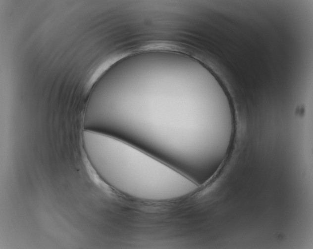 X0000110731049200906121306