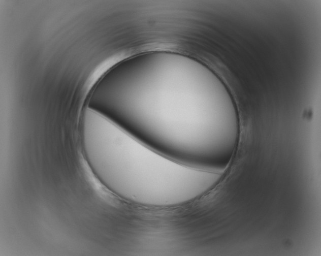 X0000110731050200906121306