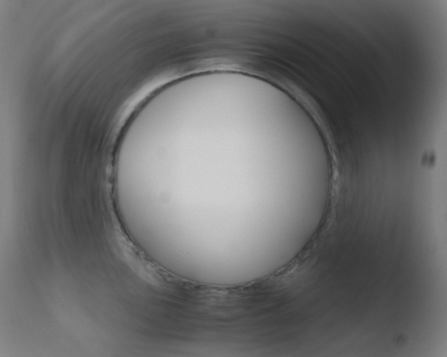 X0000110731051200906121306