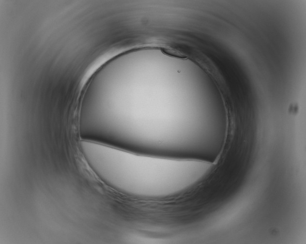 X0000110731052200906121306