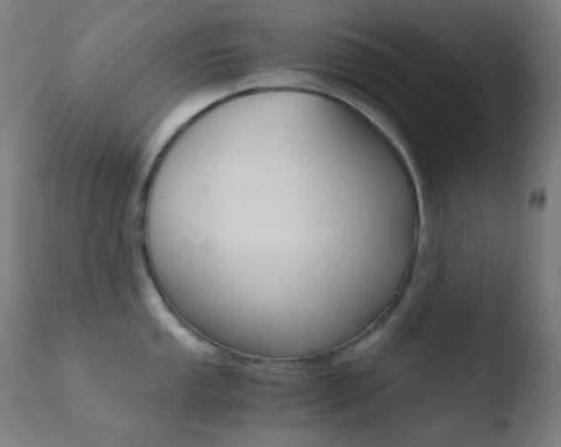 X0000110731053200906121306
