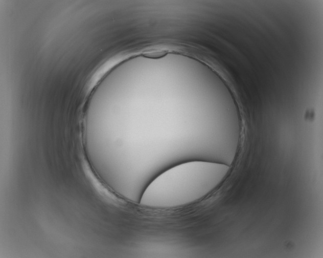 X0000110731055200906121306