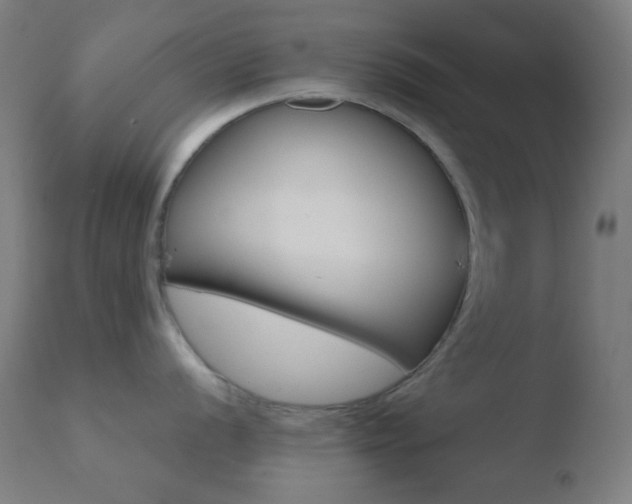 X0000110731056200906121306
