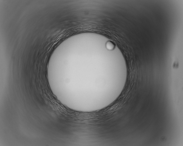 X0000110731057200906121305
