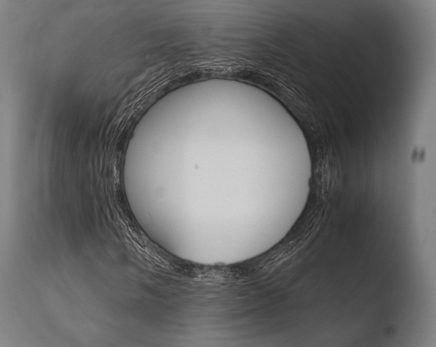 X0000110731058200906121305