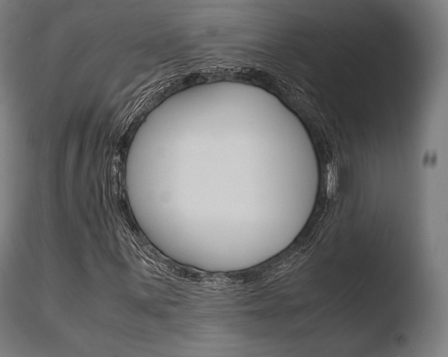 X0000110731059200906121305