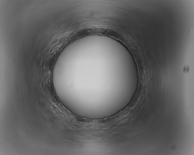 X0000110731061200906121305