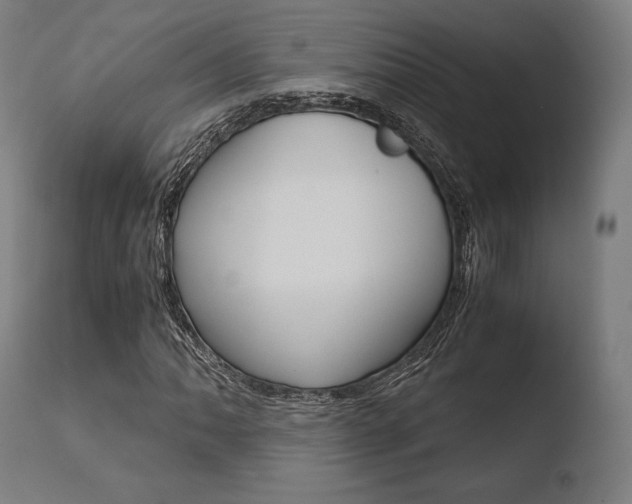X0000110731062200906121305