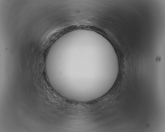 X0000110731063200906121305