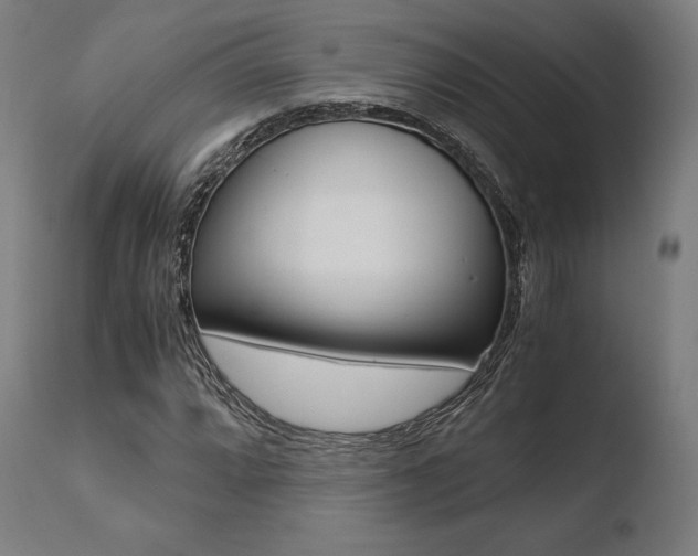 X0000110731064200906121305