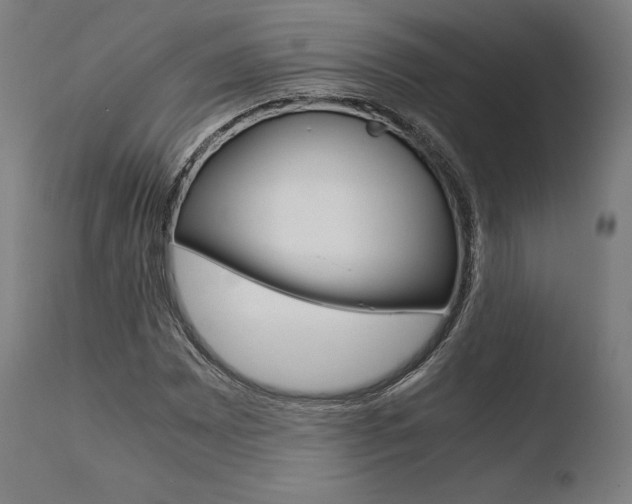 X0000110731065200906121305