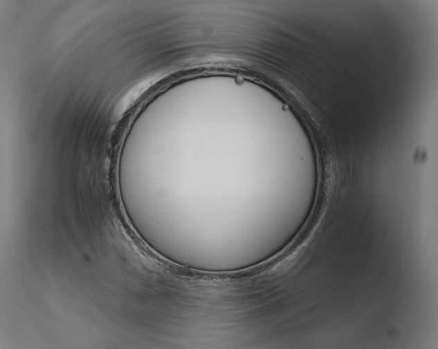 X0000110731066200906121305