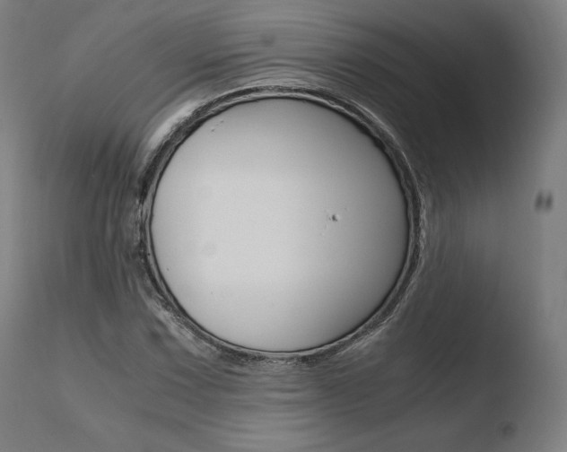 X0000110731067200906121305