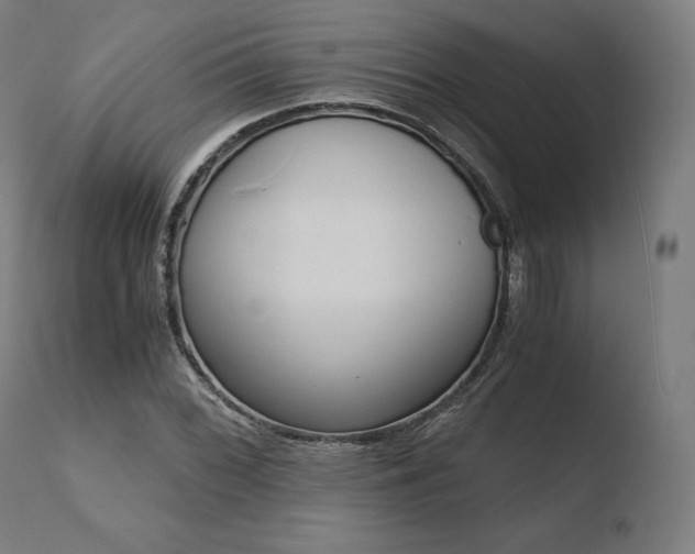 X0000110731068200906121305
