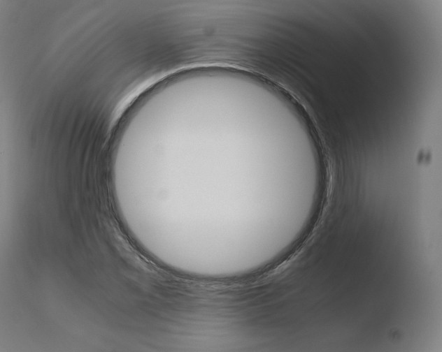 X0000110731069200906121305