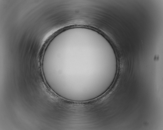 X0000110731070200906121305