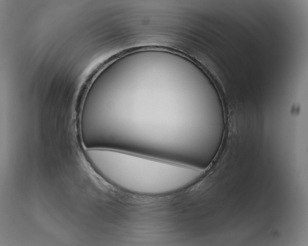 X0000110731072200906121305