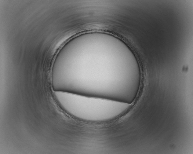X0000110731073200906121305